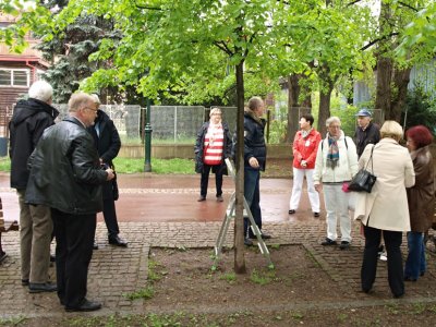 Sady a park na Letné 