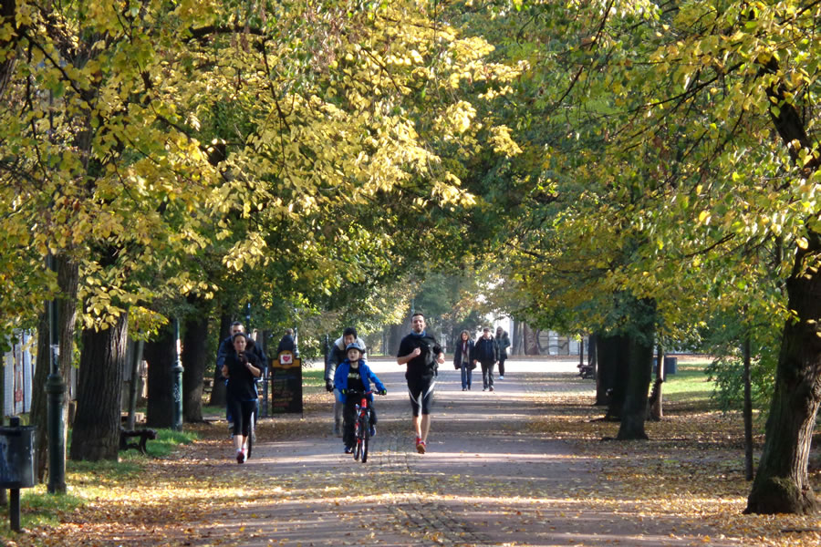 Setkánípod lípami